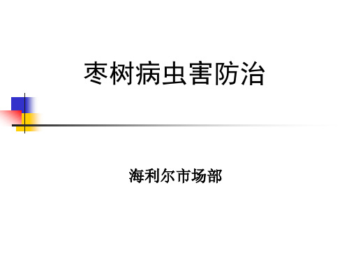 枣树病虫害防治