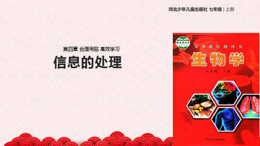 七年级下册生物课件-2.4.3《信息的处理》课件 冀少版