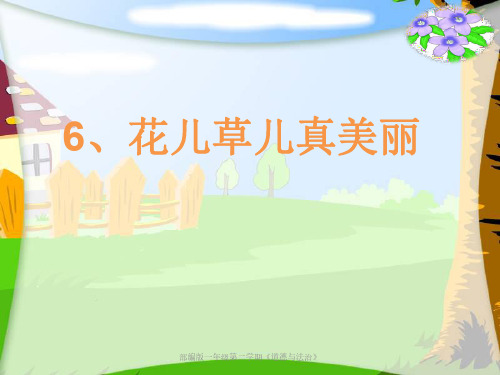 部编版一年级下册道德与法治《花儿草儿真美丽》 PPT