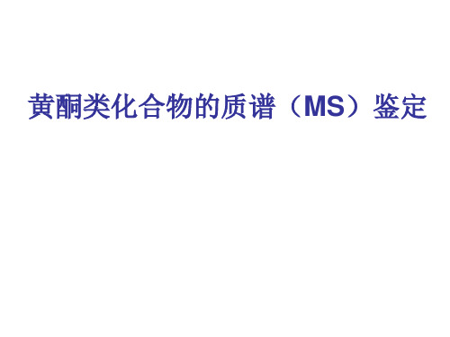 LC-MS方法鉴定黄酮类化合物