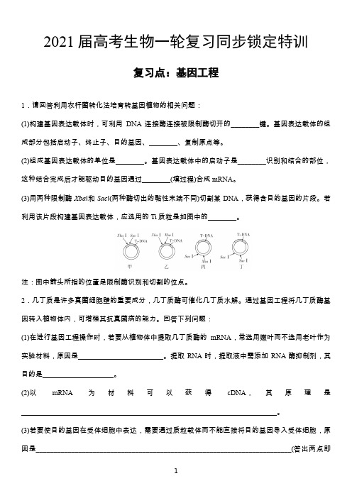 高考生物一轮复习同步锁定特训 基因工程