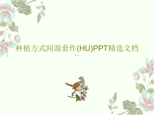 种植方式间混套作(HU)PPT精选文档共64页文档