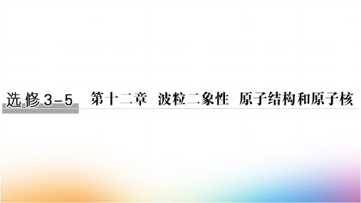 高三物理一轮复习精品课件：波粒二象性