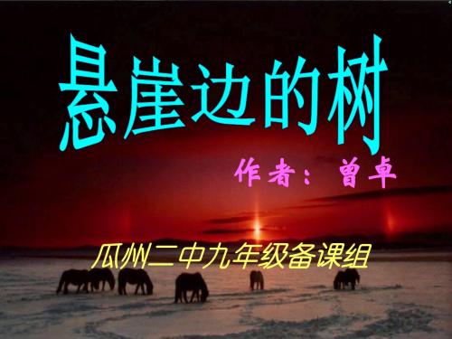 悬崖边的树PPT课件3 河大版 (共18张PPT)
