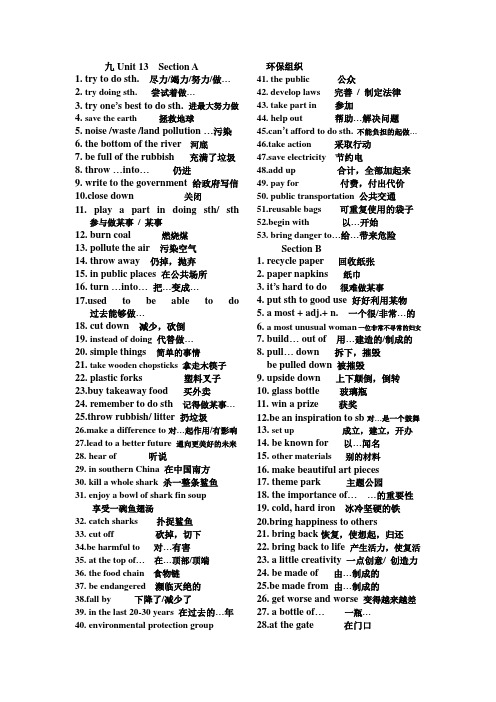 新教材九年级英语Unit 13 短语归纳