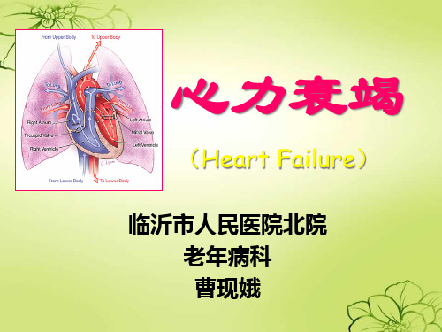 心力衰竭护理查房精品PPT课件