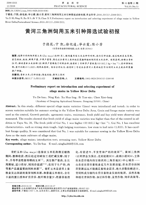 黄河三角洲饲用玉米引种筛选试验初报