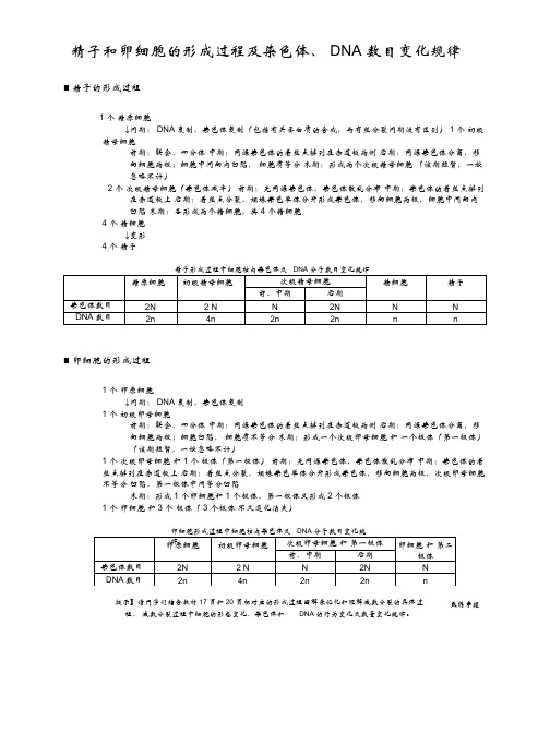 精子和卵细胞的形成过程及染色体、DNA数目变化规律