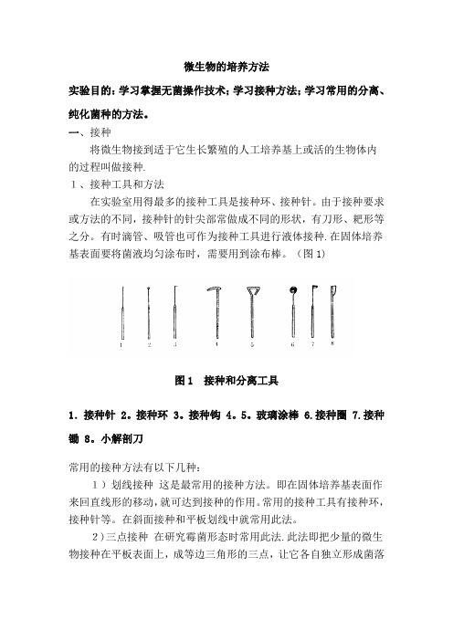 微生物的接种与培养