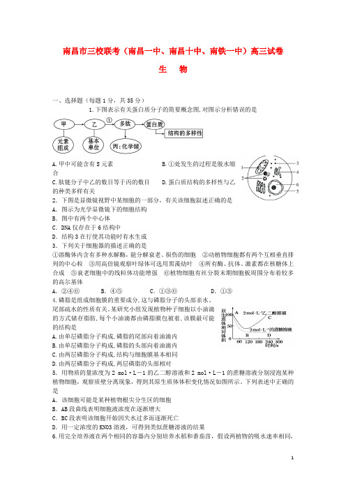 江西省南昌市三校(南昌一中,南昌十中,南铁一中)高三生物10月联考试题