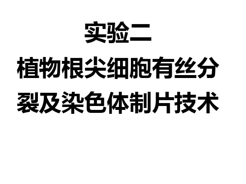 实验二 植物根尖细胞有丝分裂及染色体制片技术