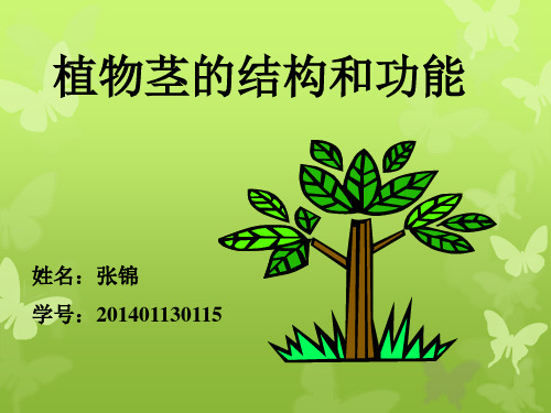 结构木质部导管韧皮部筛管构成维管束分布在薄壁细胞中但单子叶