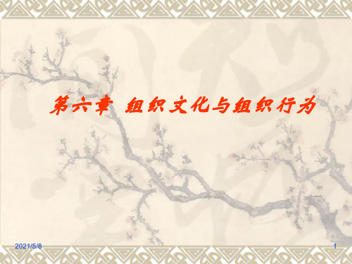 组织文化与组织行为