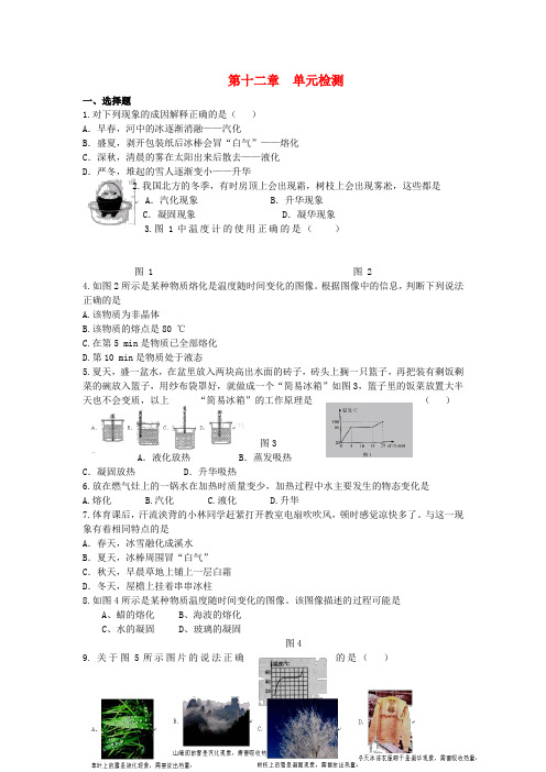 九年级物理全册第十二章温度与物态变化单元检测卷(新版)沪科版