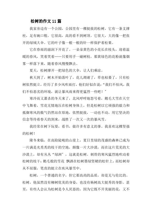 松树的作文11篇精选