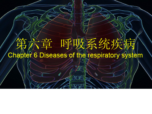 第六章  呼吸系统疾病病理-肺炎