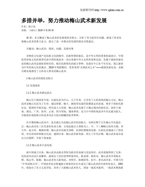 多措并举,努力推动梅山武术新发展