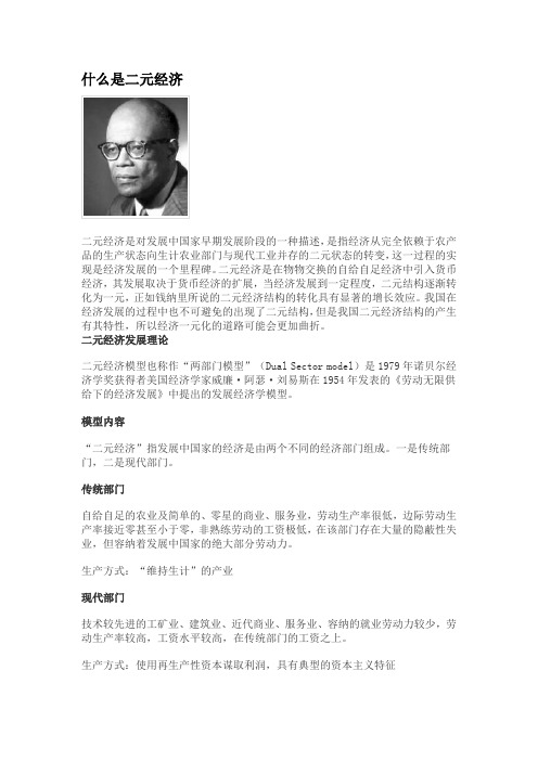 什么是二元经济