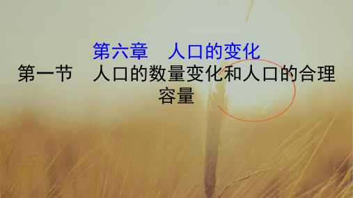 2020版高考地理总复习人教通用课件：第六章 人口的变