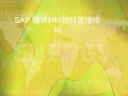 SAP系统MM模块基本原理培训