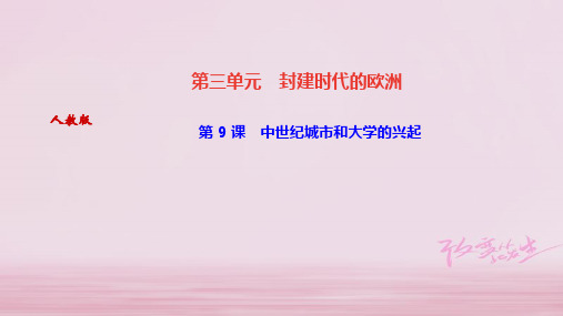2019年秋九年级苏教版历史上册课件：第9 课 中世纪城市和大学的兴起 (共25张PPT)