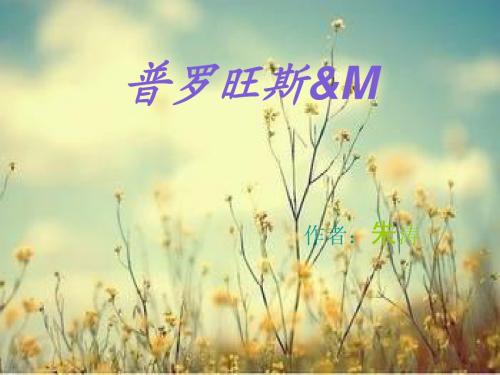 演讲稿,普罗旺斯