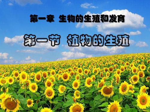 《植物的生殖》生物的生殖和发育PPT课件3