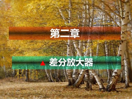 c24差动放大器 PPT课件