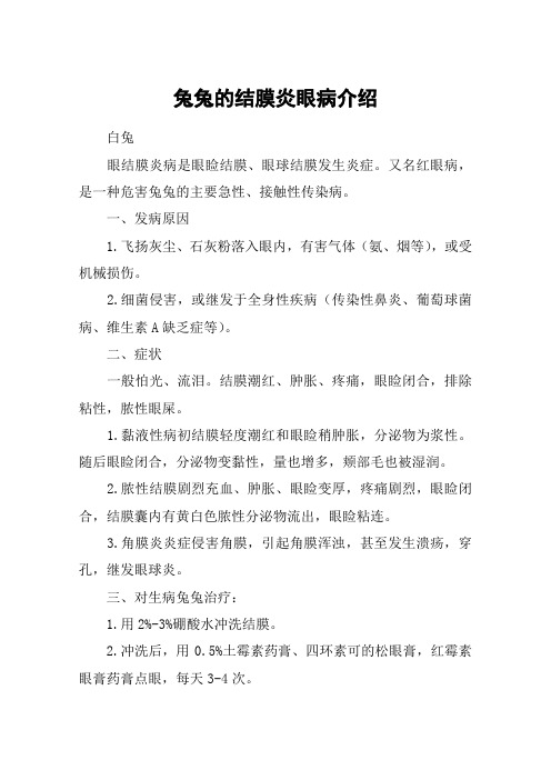 兔兔的结膜炎眼病介绍