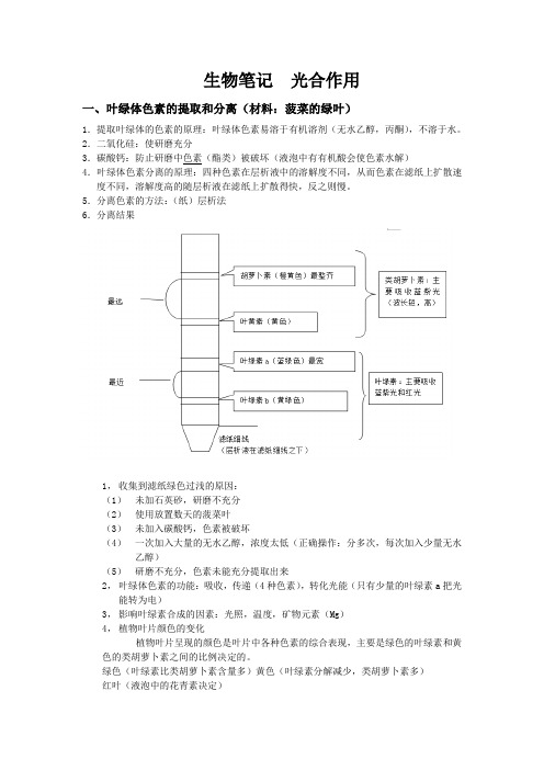 生物必修ⅰ笔记-光合作用要点