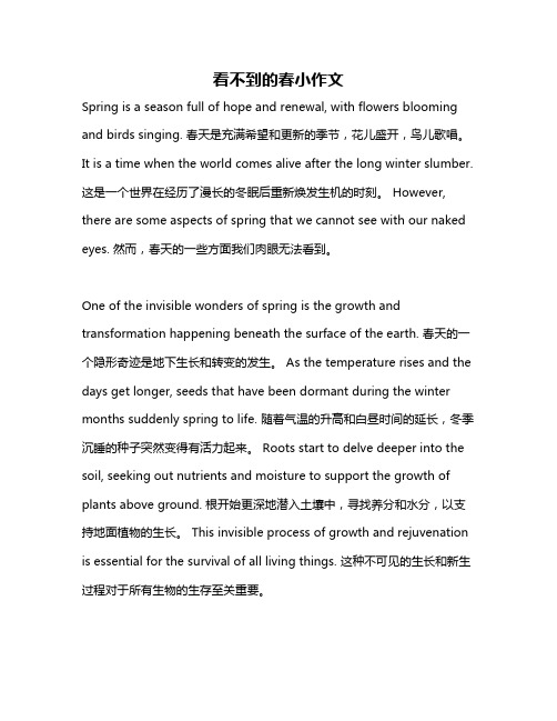 看不到的春小作文