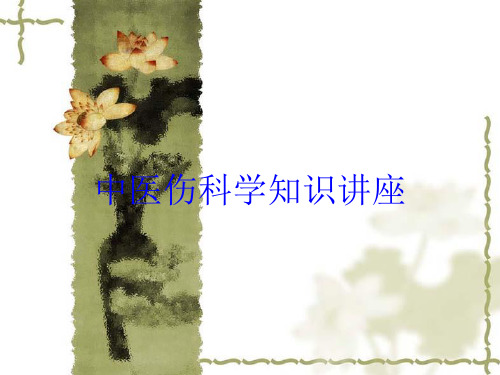 中医伤科学知识讲座培训课件