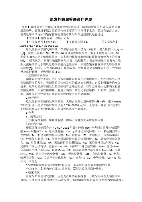 原发性输尿管癌诊疗进展