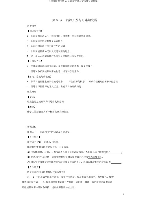 九年级物理下册11.5能源开发与可持续发展教案