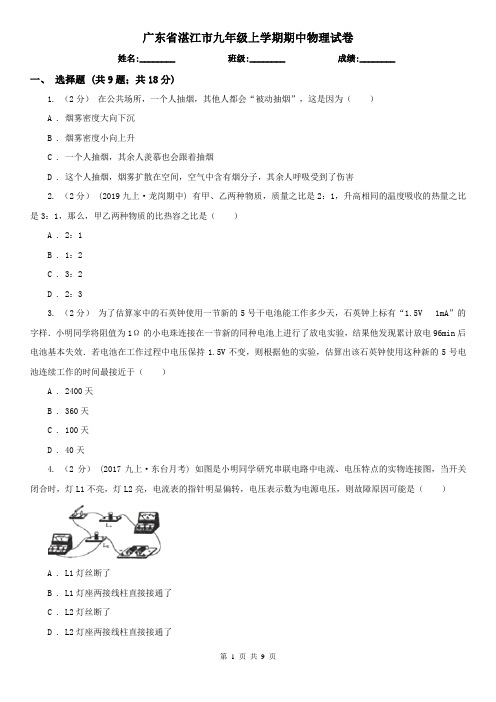 广东省湛江市九年级上学期期中物理试卷