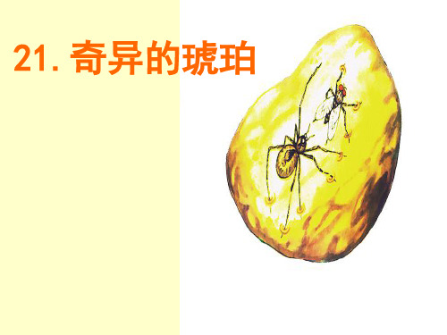 六年级上册语文课件-课文21  奇异的琥珀｜语文S版 (共18张PPT)