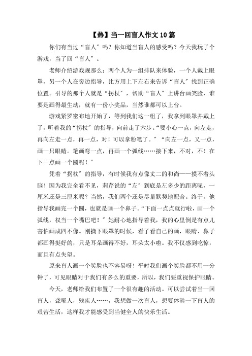 当一回盲人作文10篇精选范文