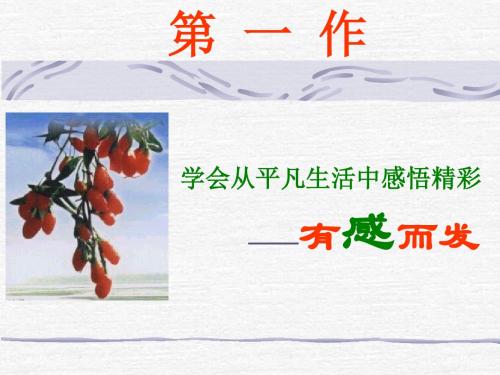 初中作文导写 学会从平凡生活中感悟精彩_有感而发