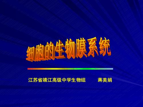 人教版教学课件细胞膜──系统的边界 课件 3
