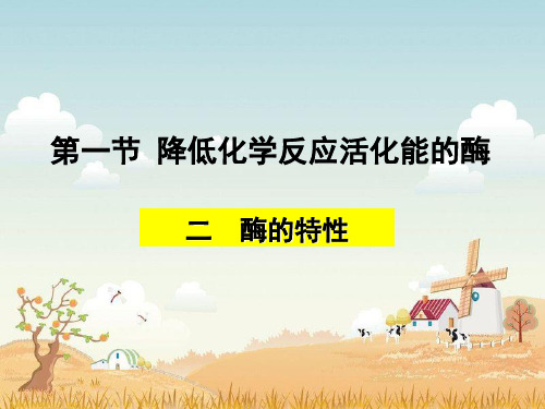 1.2酶的特性  课件(共26张PPT)