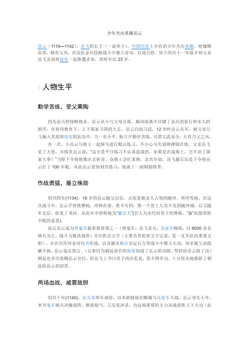 少年杰出英雄岳云