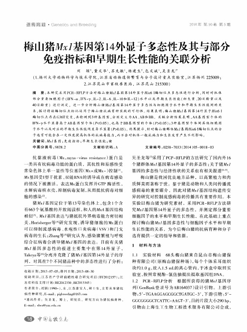 每山猪Mxl基因第14外显子多态性及其与部分免疫指标和早期生长性能的关联分析