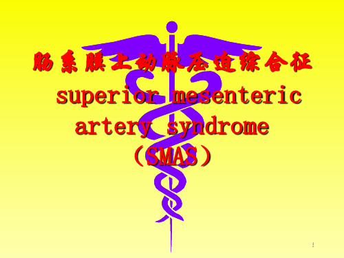 肠系膜上动脉压迫综合征PPT课件