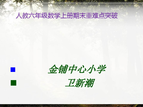 人教六年级数学上册期末重难点突破
