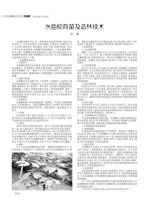 水曲柳育苗及造林技术