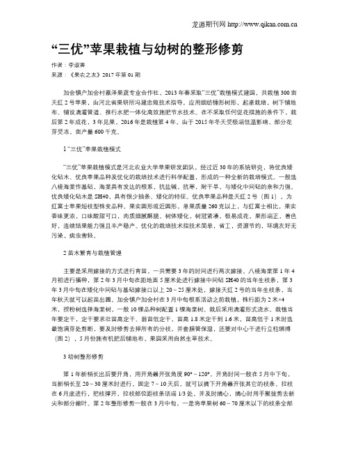 “三优”苹果栽植与幼树的整形修剪