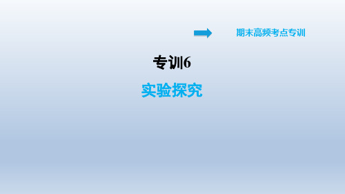 2021春科学版九年级化学下册 专训6 实验探究