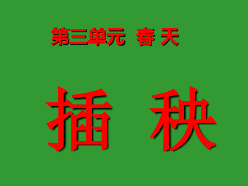 《插秧》ppt