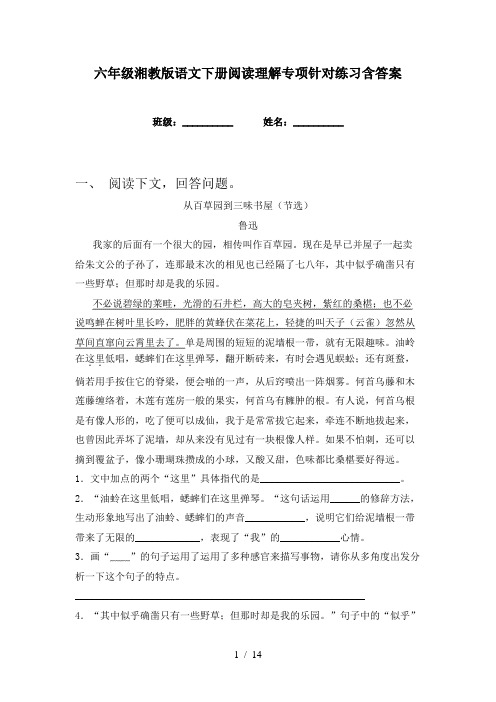 六年级湘教版语文下册阅读理解专项针对练习含答案