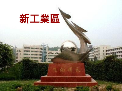 人教版高中地理课件-传统工业区与新工业区